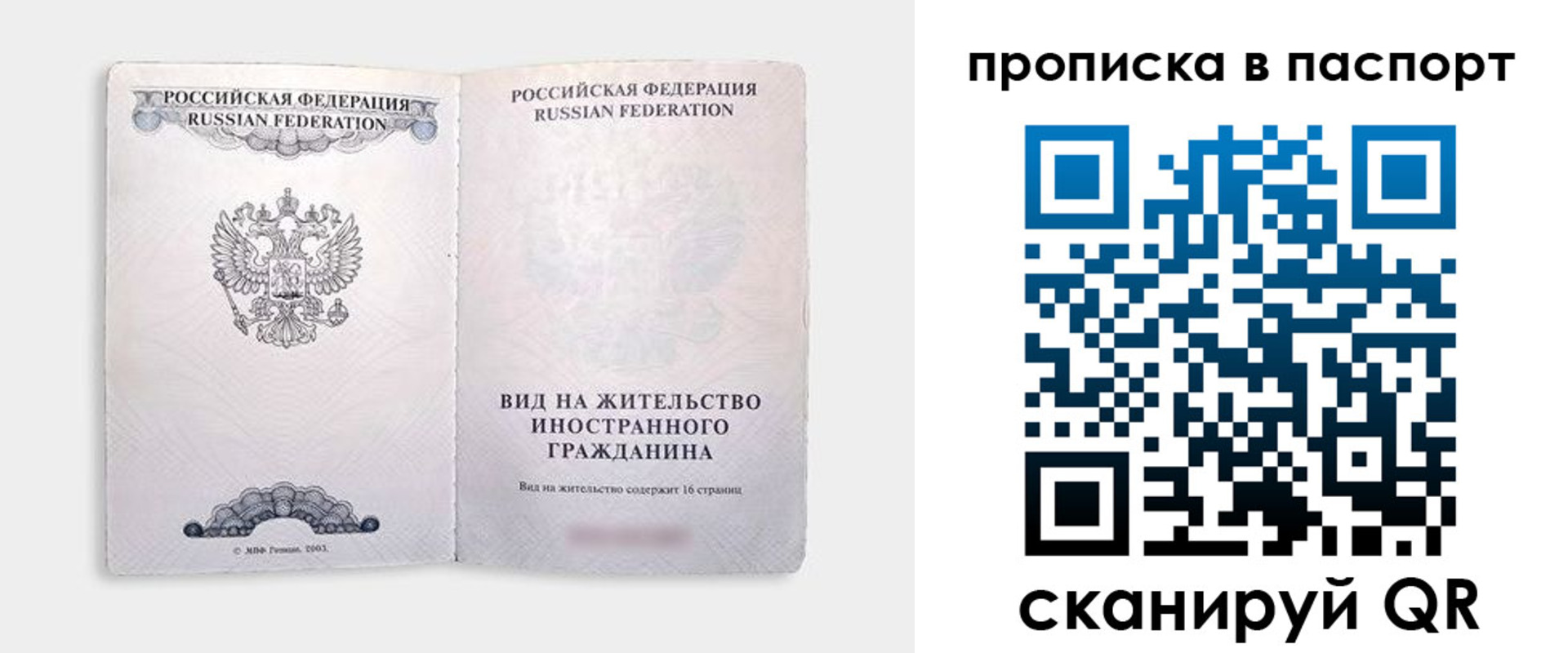 прописка гарантия в Краснодаре