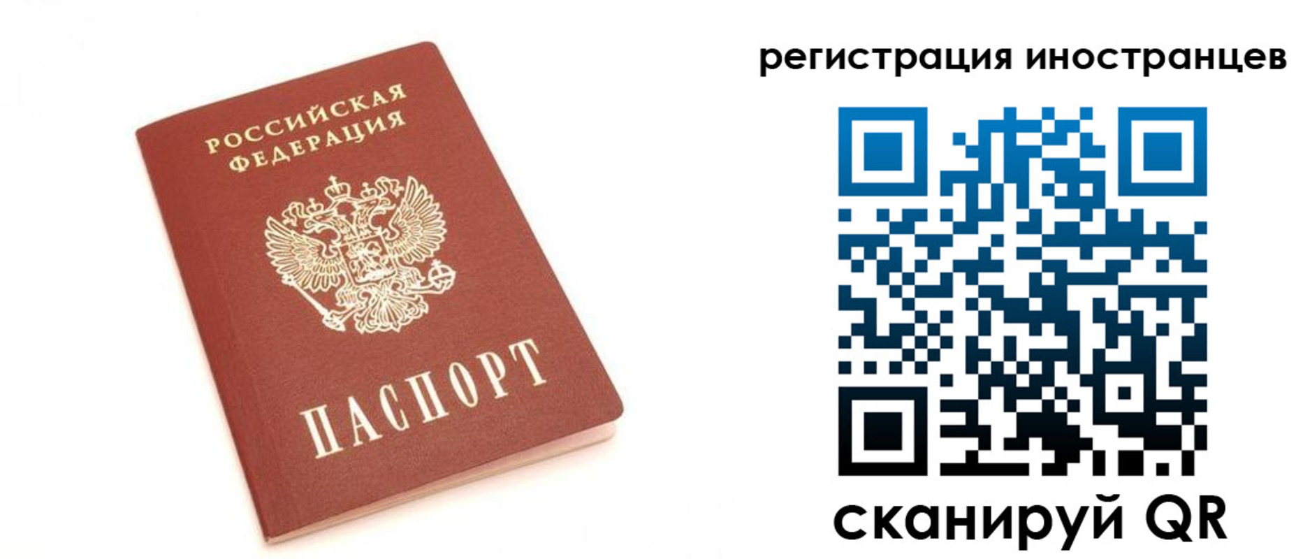 пропишу в квартире в Краснодаре